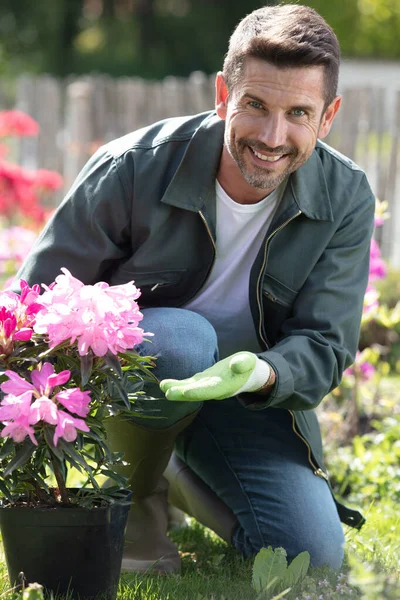 開花するアジアの植物を示す男性庭師 — ストック写真