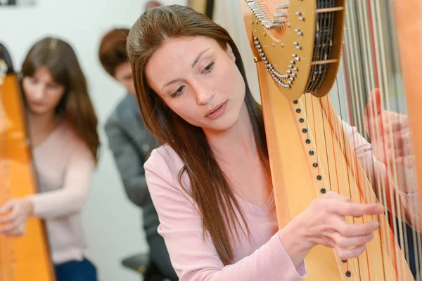 Een Vrouw Speelt Harp — Stockfoto