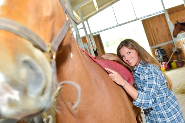 Mulher Abraçando Lado Cavalo — Fotografia de Stock