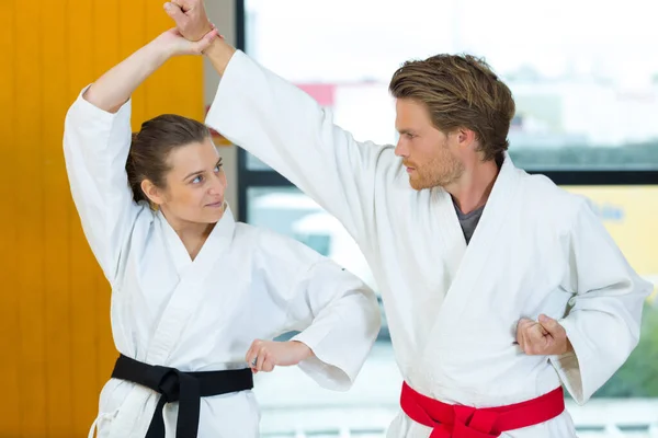 Karate Yapan Bir Çiftin Portresi — Stok fotoğraf