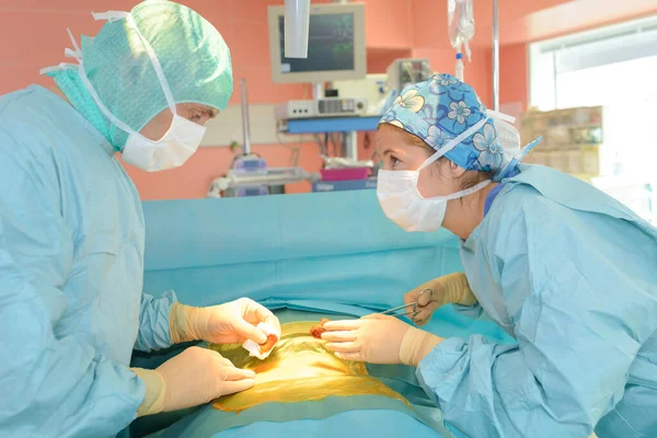 Хірурги Розмовляють Операційній Кімнаті Лікарні — стокове фото