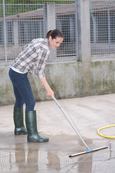Tempo Limpeza Para Assistente Canil — Fotografia de Stock