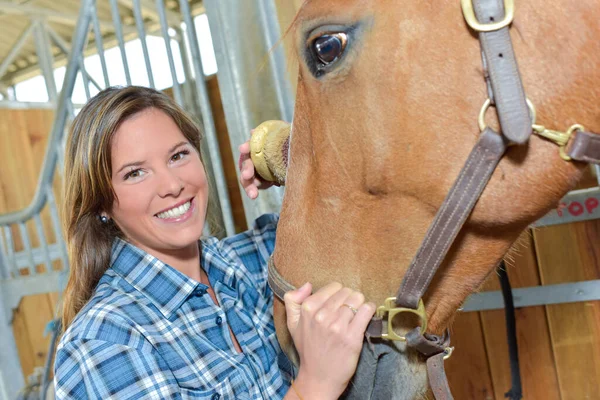 Lycklig Kvinna Grooming Hästar Huvud — Stockfoto