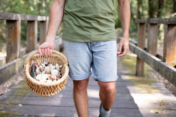 Vista Ritagliata Dell Uomo Che Trasporta Cesto Funghi Selvatici — Foto Stock