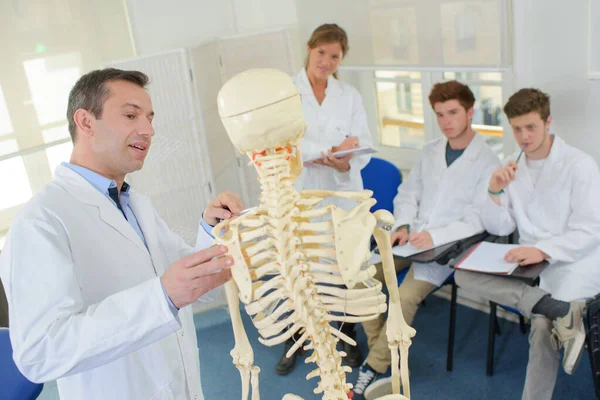 Profesor Discutiendo Esqueleto Con Los Estudiantes —  Fotos de Stock