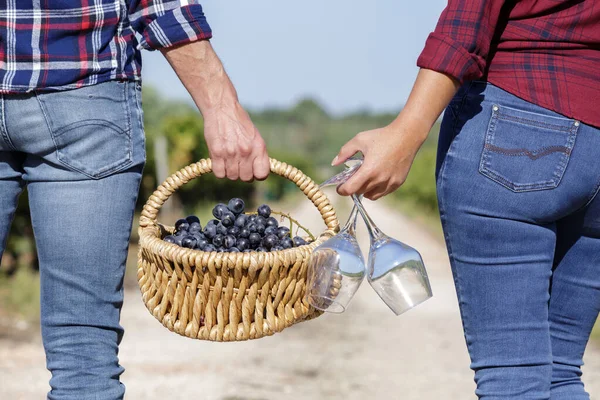 バスケットとワイングラスでブドウ畑を歩く夫婦の後ろ姿 — ストック写真