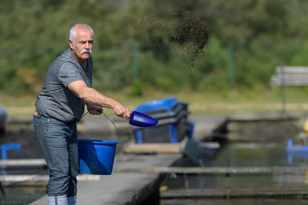 Trabajador Peces Granja Arrojando Comida Pescado —  Fotos de Stock