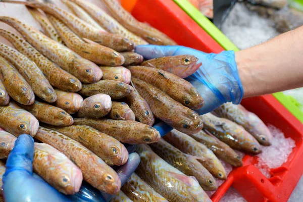 Ręce Wyławiające Ryby Skrzyni — Zdjęcie stockowe
