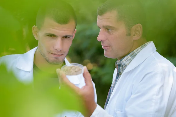 Två Forskare Tekniker Studerar Växter — Stockfoto