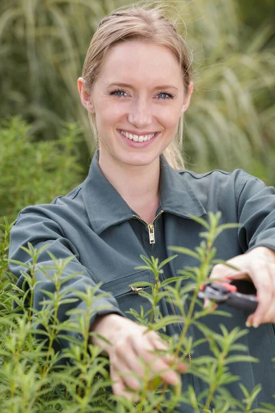 Glad Kvinnlig Plantskola Arbetare Putsning Växter — Stockfoto