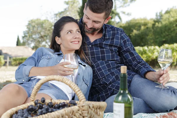 Uśmiechnięta Para Pijąca Wino Pikniku — Zdjęcie stockowe