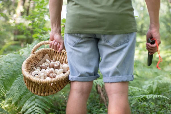 Young Man Picking Mushrooms Autumn Forest — Stock Photo, Image
