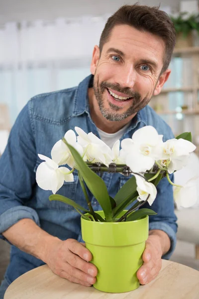portrait of man with lowering houseplant