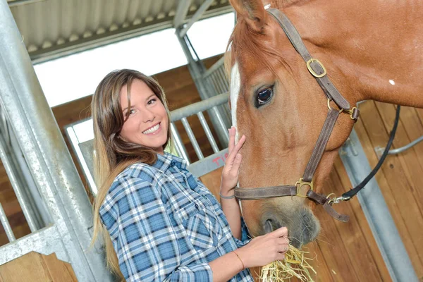 Vrouw Voedt Hooi Aan Een Paard — Stockfoto