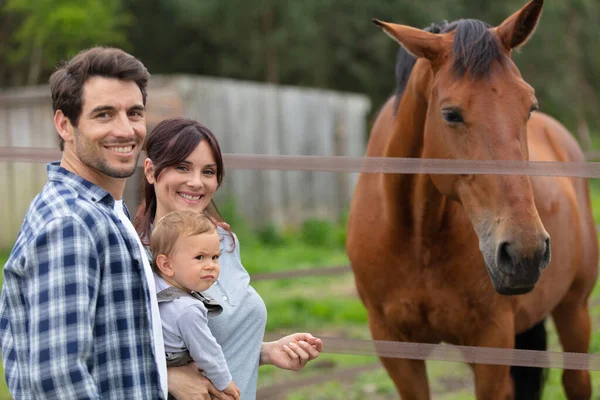 Föräldrar Och Barn Klappa Hästar Landsbygden — Stockfoto