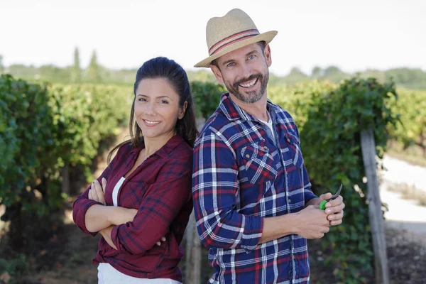 Couple Wine Producers Vineyard — Stock Photo, Image