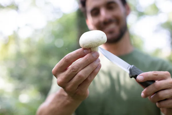 Uomo Raccoglie Funghi Nella Foresta Estiva — Foto Stock