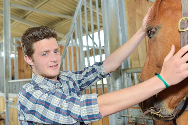 Jonge Man Een Paard — Stockfoto