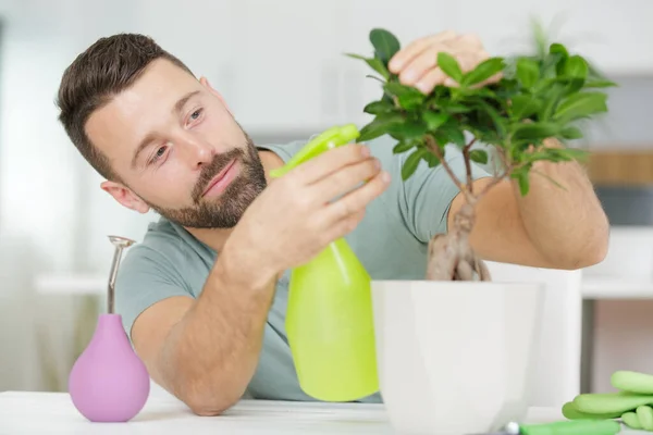 stock image man watering a plant with spray bottle