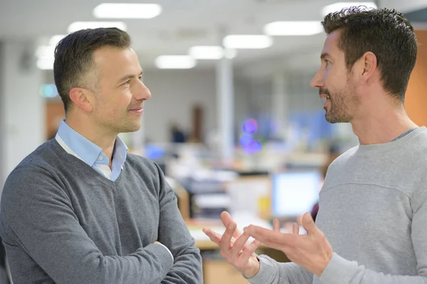 Two Middle Aged Men Talking Office Environment — Stock Photo, Image