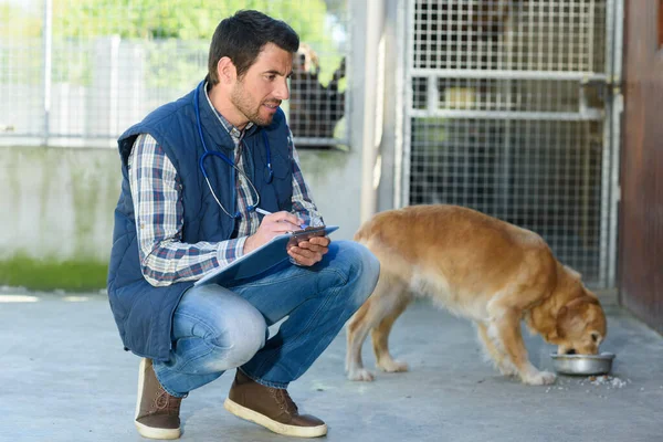 Ein Männlicher Tierarzt Während Des Kontrolltages — Stockfoto
