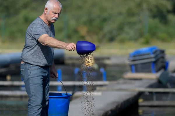 漁師が魚に餌をやり — ストック写真