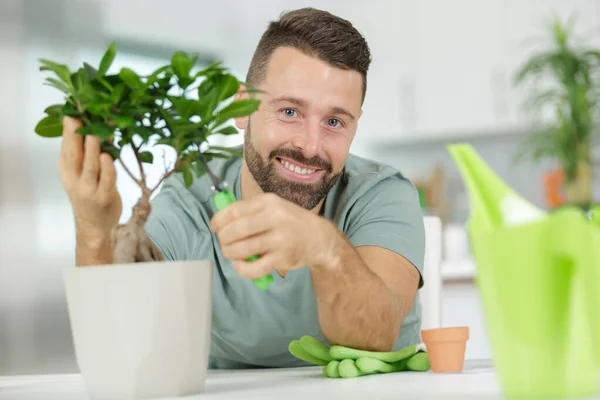 Homem Feliz Cuidando Planta Bonsai — Fotografia de Stock