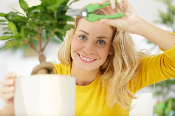 幸せな女性は盆栽をトリミング — ストック写真