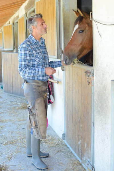 Farrier Petting Häst Stabil — Stockfoto
