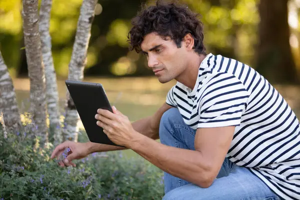 Homem Bonito Segurando Tablet Procurando Referências Plantas — Fotografia de Stock