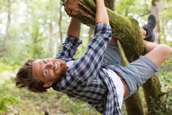 Young Man Climbing Tree — Stock Photo, Image