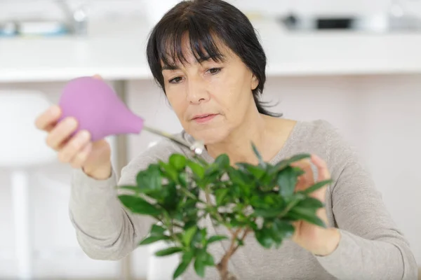Senior Vrouw Met Plant Spuiten Met Water — Stockfoto