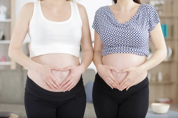 Two Pregnant Girlfriends Holding Belly Hands Heart Shaped — Stock Photo, Image