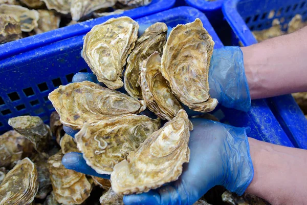 Hands Oyster Seller Market — Stock Photo, Image