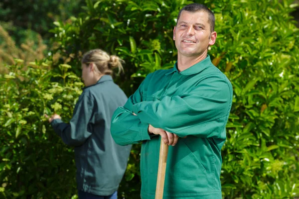 Hombre Jardinero Recorte Seto Con Cizallas Jardín — Foto de Stock