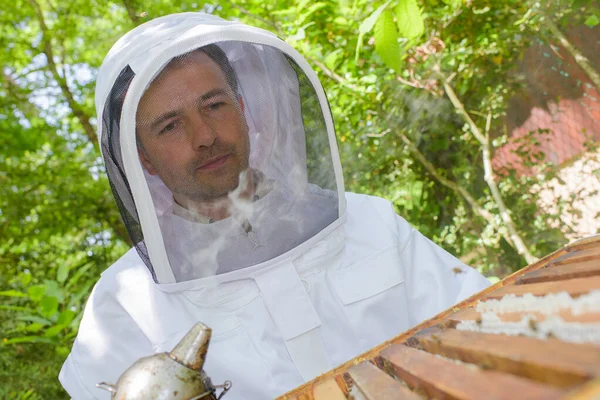 Μελισσοκόμος Καπνίζει Κυψέλη — Φωτογραφία Αρχείου