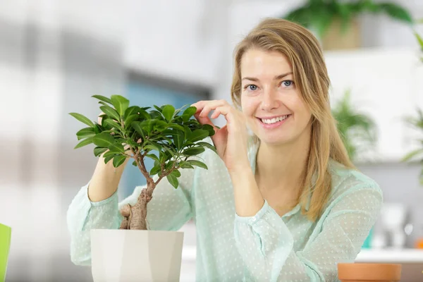 Schöne Frau Die Sich Einen Bonsai Baum Kümmert — Stockfoto