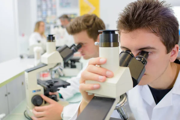 Male Student Looking Microscope — Stock Photo, Image