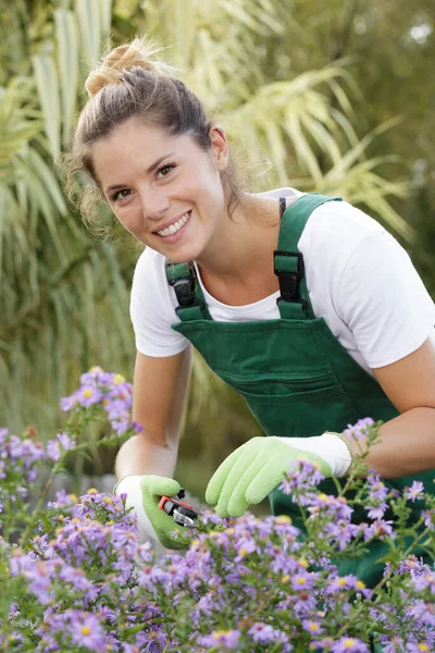 Γυναίκα Κηπουρός Που Χρησιμοποιεί Κλαδευτήρια — Φωτογραφία Αρχείου
