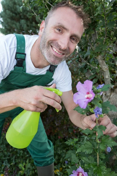 Homem Pulverizando Flores Livre — Fotografia de Stock