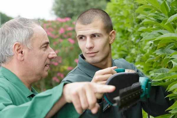 两个男人在照料植物 — 图库照片