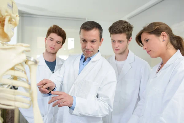 Doctor Students Looking Skeleton Stock Picture