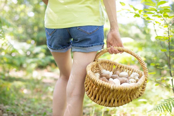 Young Woman Mushrooms Wicker Basket Walking Forest — Stock Photo, Image
