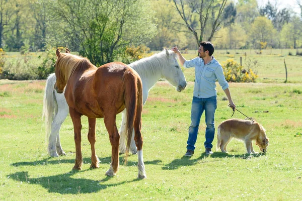 人間と馬の肖像画 — ストック写真