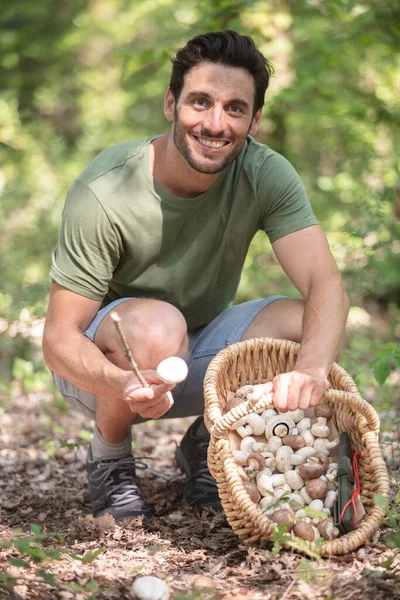 Felice Uomo Che Raccoglie Funghi Commestibili — Foto Stock