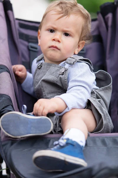 Doğada Bebek Arabasında Bebek — Stok fotoğraf