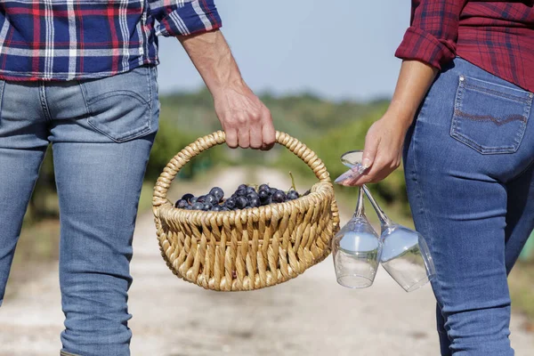 ブドウとワイングラスのバスケットを運ぶカップルのリアビュー — ストック写真