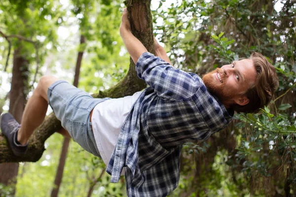 Man Climbing Tree — Stock Photo, Image
