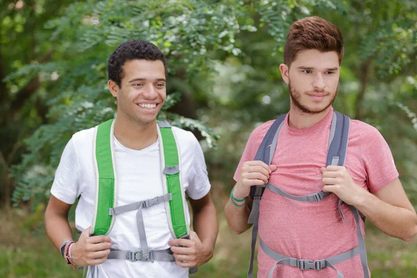 Twee Jonge Mannelijke Wandelaar Observeren — Stockfoto