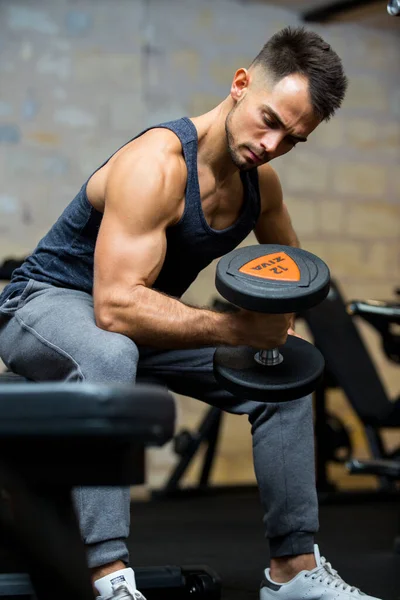 Concentrated Sporty Guy Workout Gym Dumbbells — Stock Photo, Image